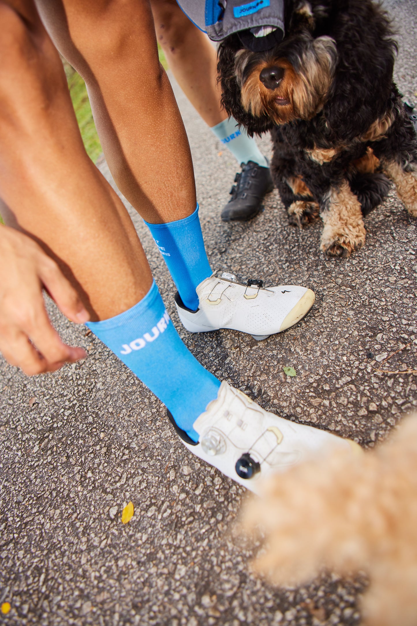 SEASON/ELEMENT SOCKS GENERATION J | BLUE