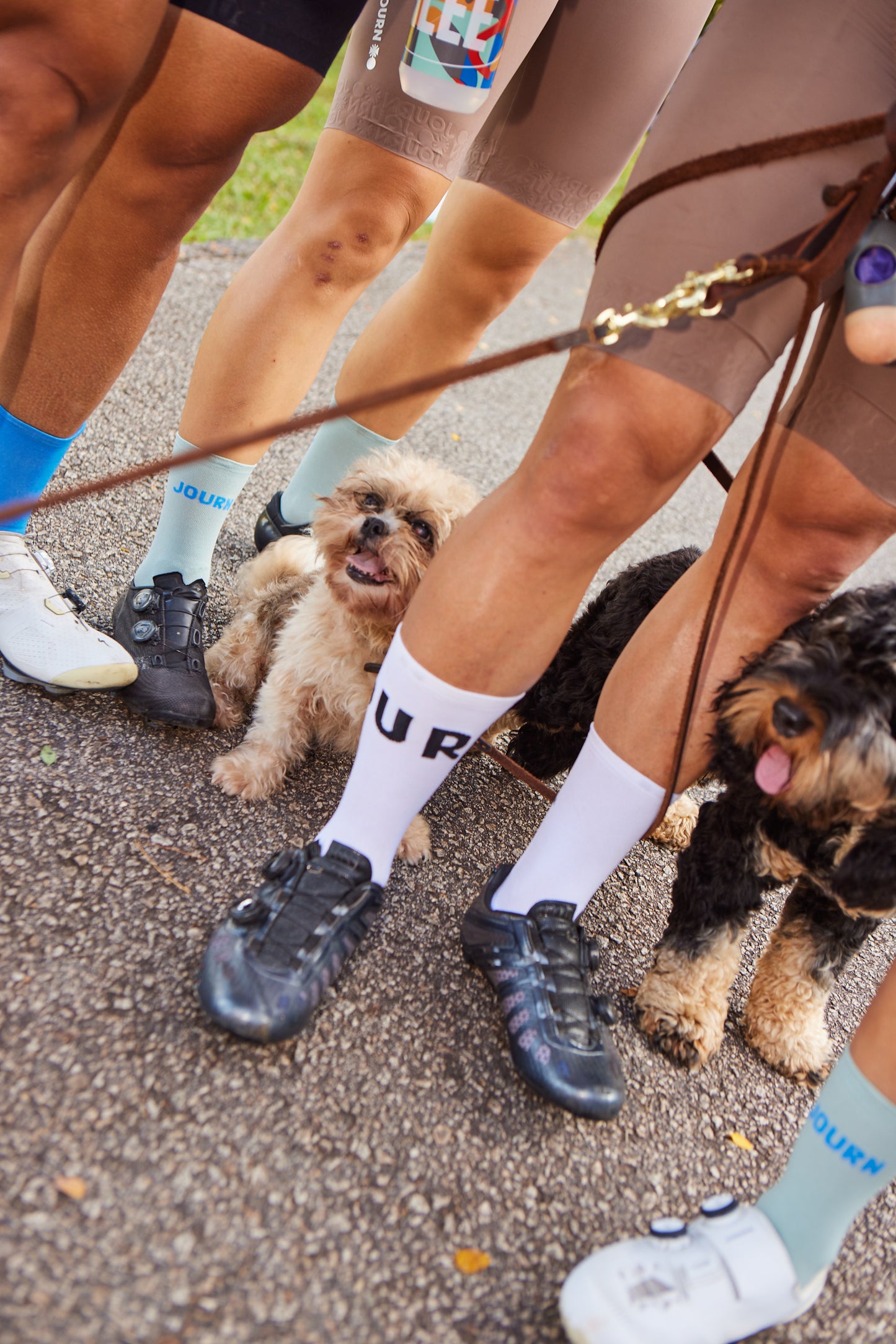 SEASON/ELEMENT SOCKS LOGO | WHITE