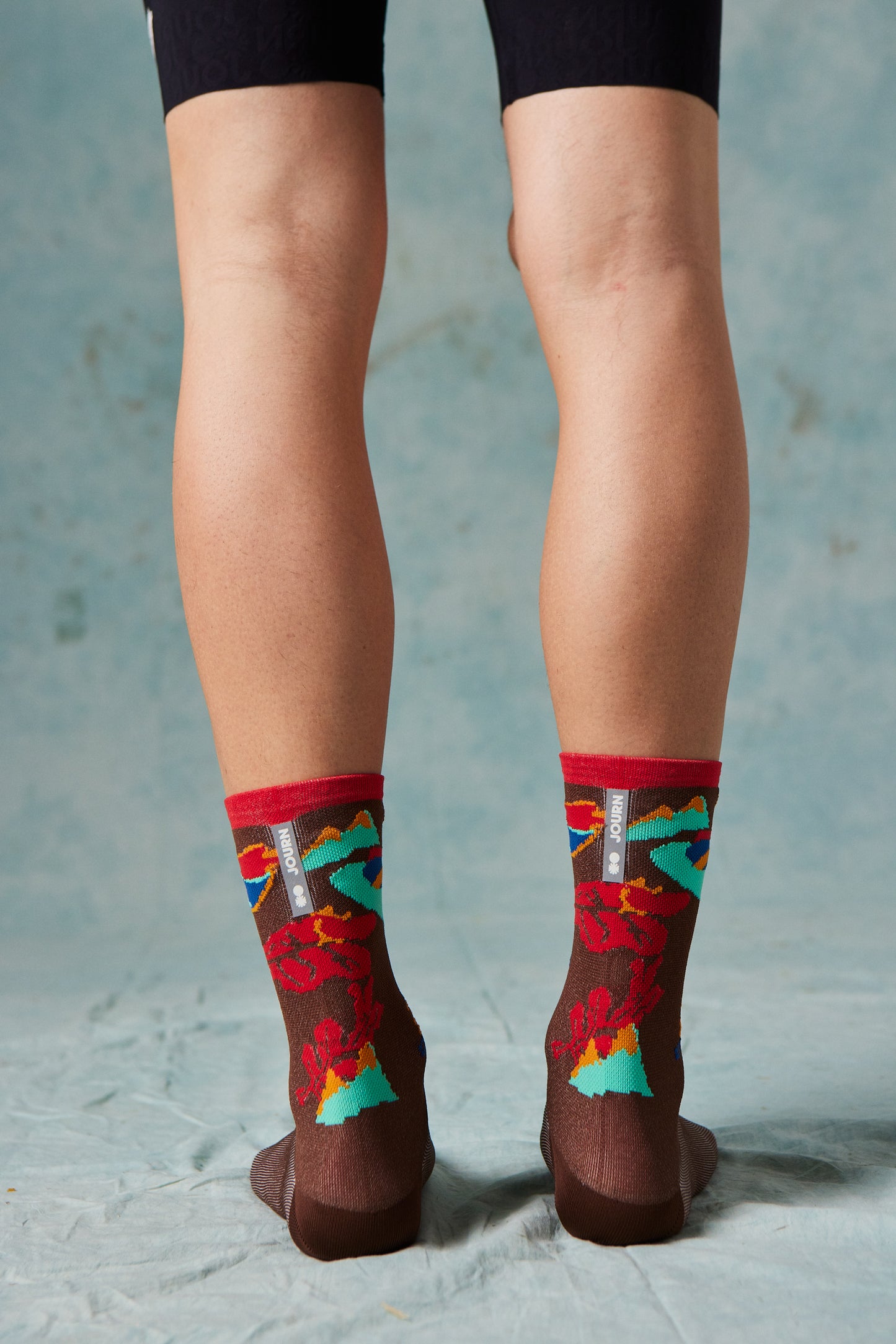 SEASON/ELEMENT SOCKS ARTIST SERIES | CHICORY COFFEE